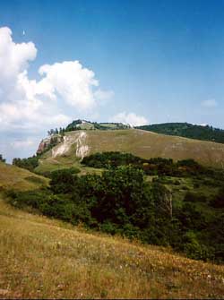 Zhigulevskii Nature Reserve